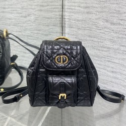 Dior Caro