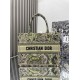 Dior Book Tote