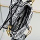 Dior Saddle