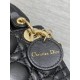 Dior Lady