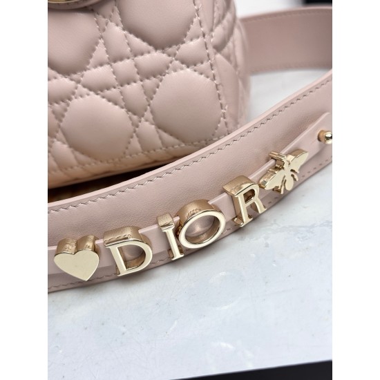 Dior Lady