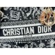 Dior Lady