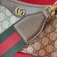 Gucci Ophidia