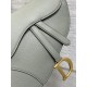Dior Saddle