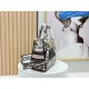 Dior Lady