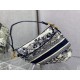 Dior Saddle