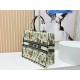 Dior Book Tote