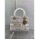 Dior Lady