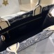 Dior Book Tote