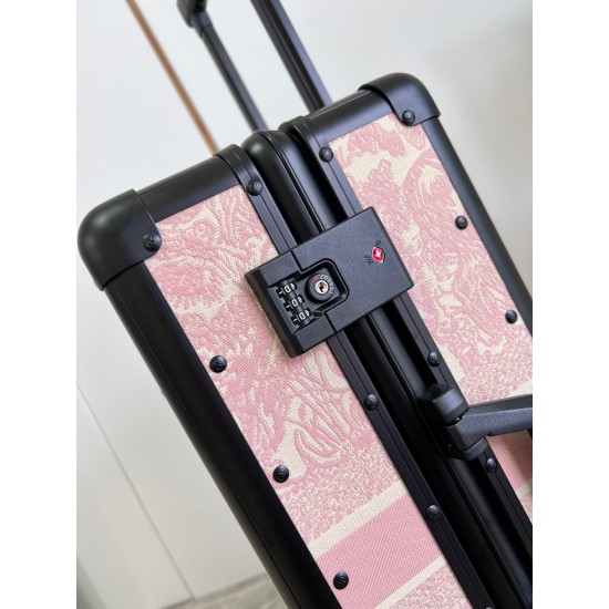 Dior Suitcase