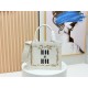Dior Book Tote