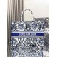 Dior Book Tote