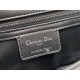 Dior Caro