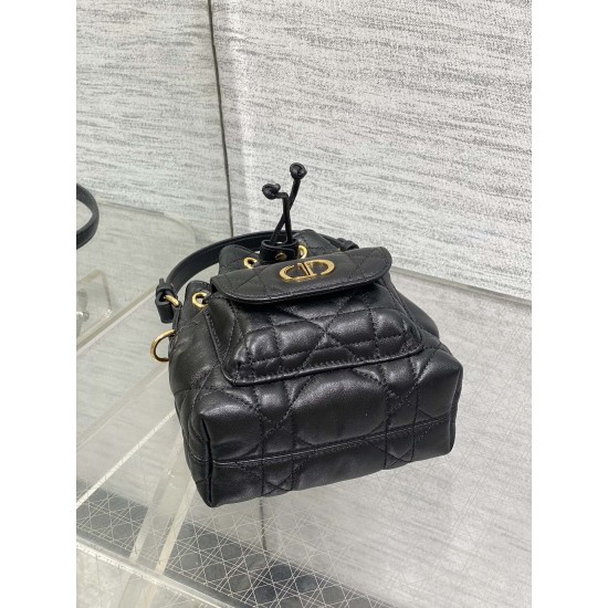 Dior Caro