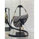 Dior Saddle