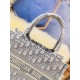 Dior Book Tote