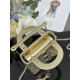 Dior Lady
