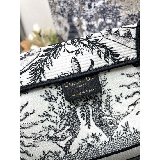 Dior Book Tote