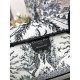 Dior Book Tote