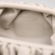 Bottega Veneta Pouch