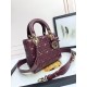 Dior Lady