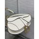 Dior Saddle