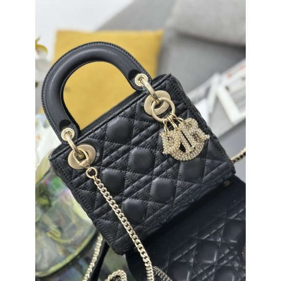 Dior Lady