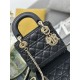Dior Lady