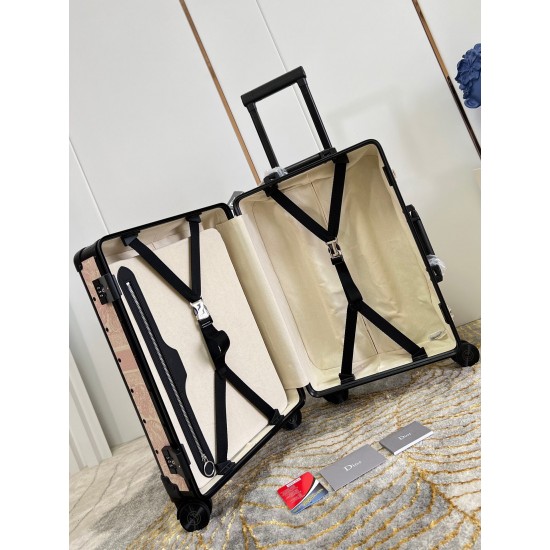 Dior Suitcase
