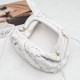 Bottega Veneta Pouch