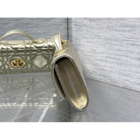 Dior Caro