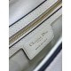 Dior Saddle