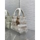 Dior Lady