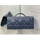 Dior Caro