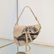 Dior Saddle