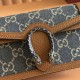 Gucci Dionysus