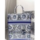 Dior Book Tote
