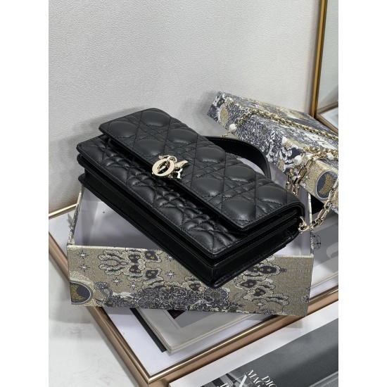 Dior Lady