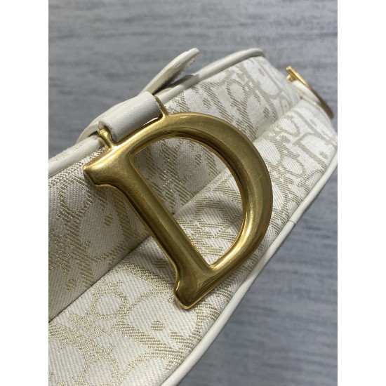 Dior Saddle