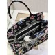 Dior Book Tote