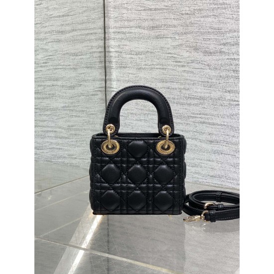 Dior Lady