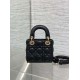 Dior Lady