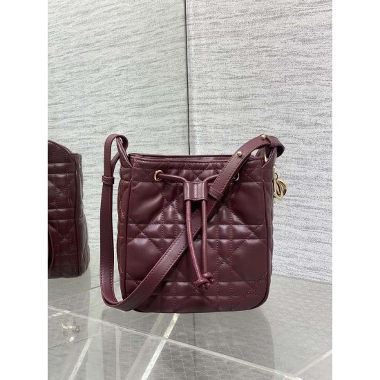 Dior Caro