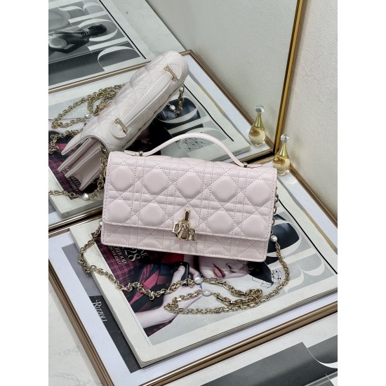 Dior Lady