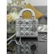 Dior Lady