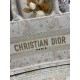 Dior Book Tote