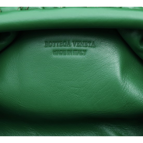 Bottega Veneta Pouch