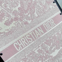 Dior Suitcase