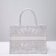Dior Book Tote