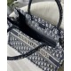 Dior Book Tote